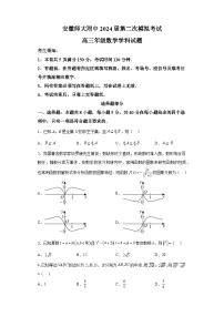 安徽省芜湖市安徽师范大学附属中学2024届高三第二次模拟考试 数学试题（含解析）