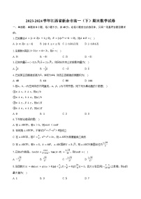 2023-2024学年江西省新余市高一（下）期末数学试卷（含解析）