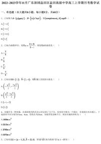 2022~2023学年11月广东深圳盐田区盐田高级中学高三上学期月考数学试卷（含答案与解析）