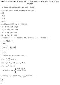 2023~2024学年10月湖北武汉硚口区武汉市第十一中学高一上学期月考数学试卷（含答案与解析）
