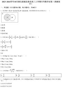 2023~2024学年10月湖北恩施宣恩县高三上学期月考数学试卷（清源高中）（含答案与解析）