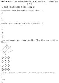 2023~2024学年12月广东深圳光明区深大附属实验中学高二上学期月考数学试卷（含答案与解析）