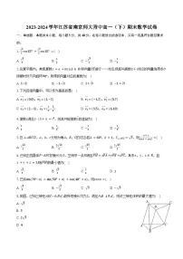 2023-2024学年江苏省南京师大附中高一（下）期末数学试卷（含答案）