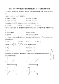 2023-2024学年黑龙江省龙东联盟高二（下）期末数学试卷（含答案）