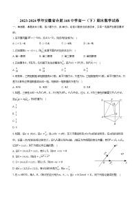 2023-2024学年安徽省合肥168中学高一（下）期末数学试卷（含答案）