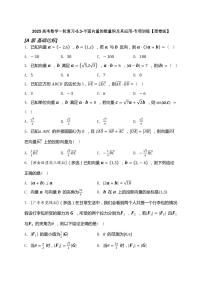 2025高考数学一轮复习-5.3-平面向量的数量积及其应用-专项训练【含解析】
