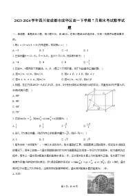 2023-2024学年四川省成都市成华区高一下学期7月期末考试数学试题（含答案）