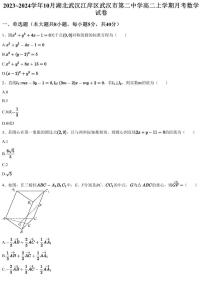 2023~2024学年10月湖北武汉江岸区武汉市第二中学高二上学期月考数学试卷（含答案与解析）