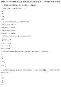 2023~2024学年10月重庆渝中区重庆市巴蜀中学高二上学期月考数学试卷（含答案与解析）