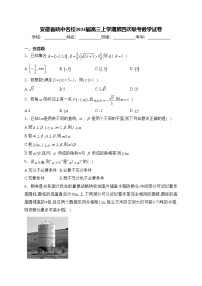 安徽省皖中名校2024届高三上学期第四次联考数学试卷(含答案)