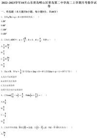 2022~2023学年10月山东青岛崂山区青岛第二中学高二上学期月考数学试卷（含答案与解析）