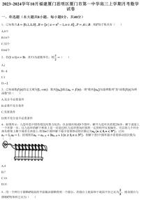 2023~2024学年10月福建厦门思明区厦门市第一中学高三上学期月考数学试卷（含答案与解析）