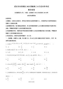 湖北武汉东西湖区2025届新高三8月适应性考试数学试卷+答案