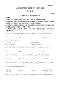 2025届山东新高考联合质量测评高三上学期9月联考数学试卷+答案