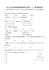 2023-2024学年陕西省渭南市瑞泉中学高二（上）期末数学试卷（含解析）