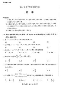 河南省新乡市多校联考2025届高三上学期调研考试数学试题（PDF版附解析）