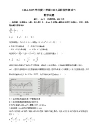 广西柳州高级中学2024-2025学年高三上学期阶段性测试(二)数学试题