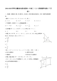 安徽省合肥市肥东县第一中学2024-2025学年高二上学期7月份自学质量检测数学试题