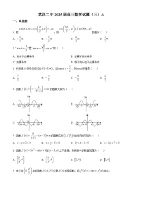 湖北省武汉市第二中学2025届高三上学期第三次检测数学试题（Word版附解析）