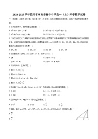 2024-2025学年四川省南充市阆中中学高一（上）开学数学试卷（含解析）