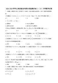 2024-2025学年山东省新高考联合质量测评高三（上）开学数学试卷（含答案）
