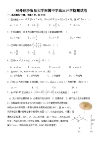 北京市朝阳区对外经济贸易大学附属中学2024-2025学年高三上学期开学检测数学模拟试卷