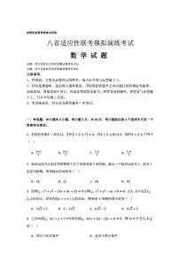 四川省新高考教研联盟2025届高三上学期八省适应性联考模拟演练（一模）考试数学试题