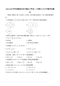 2024-2025学年湖南省长沙市雅礼中学高一上学期10月月考数学试题（含解析）