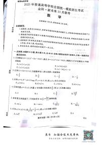 河南金科新未来2025届高三上学期10月联考数学试题+答案