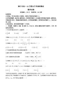 广西南宁市2024-2025学年高一上学期10月联合月考调研测试数学试卷(无答案)