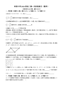 上海市奉贤中学2024-2025学年高二上学期10月月考数学试卷(无答案)