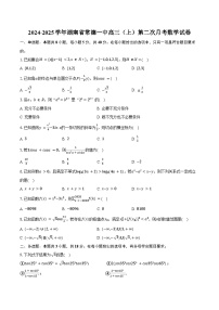 2024-2025学年湖南省常德一中高三（上）第二次月考数学试卷（含答案）