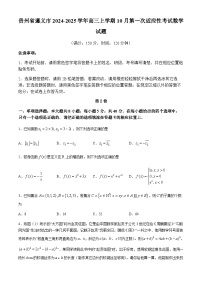 贵州省遵义市2024-2025学年高三上学期10月第一次适应性考试数学试题(附参考答案与word版)