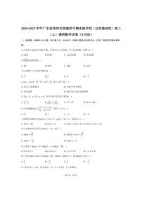 [数学]2024～2025学年广东省深圳市桃源居中澳实验学校(台资基础班)高三(上)调研试卷(9月份)(有答案)
