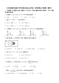 江苏省梅村高级中学空港分校2024-2025学年高一上学期10月检测数学试题(无答案)