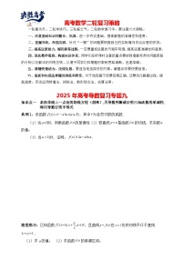 2025高考数学总复习专项复习（讲义）--一元函数的导数及其应用专题九（含解析）