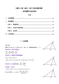 高考数学复习解答题提高第一轮专题复习专题05解三角形(角平分线问题问题)(典型题型归类训练)(学生版+解析)