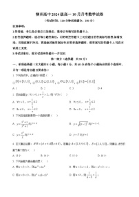 广西柳州高级高中2024-2025学年高一上学期10月月考数学试卷（Word版附答案）