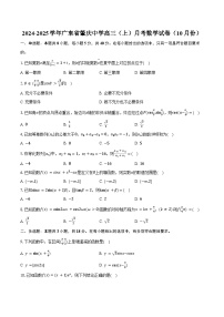 2024-2025学年广东省肇庆中学高三（上）月考数学试卷（10月份）（含答案）