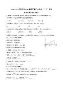 2024-2025学年上海市浦东新区南汇中学高三（上）段考数学试卷（10月份）（含答案）