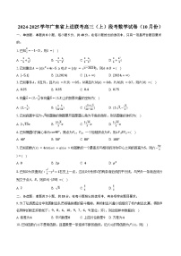 2024-2025学年广东省上进联考高三（上）段考数学试卷（10月份）（含答案）