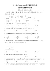 2024-2025学年黑龙江省哈尔滨市高三（上）期中模拟考试数学试卷