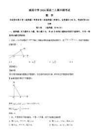 四川省内江市威远中学校2024-2025学年高二上学期期中考试数学试题（解析版）