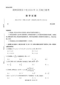 2025届湖南省湘东十校高三上学期10月联考数学试题