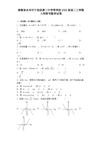 湖南省永州市宁远县第三中学等学校2025届高三上学期入学联考 数学试卷（含解析）