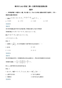 湖南省郴州市2024-2025学年高三上学期第一次模拟考试数学试题