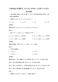 安徽省亳州市涡阳县2024-2025学年高一上学期10月月考数学试题（解析版）