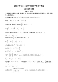 河北省衡水市武强中学2024-2025学年高三上学期期中考试数学试题