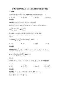 甘肃省白银市靖远县2024届高三模拟预测数学试卷(解析版)