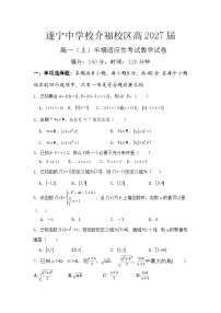 四川省遂宁中学校2024-2025学年高一上学期11月期中考试数学试题